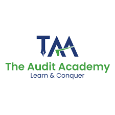 THE AUDIT ACADEMY