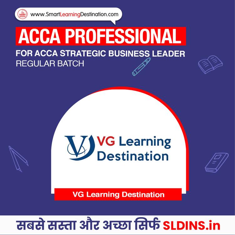 VG Learning Destination, Strategic Business Leader(SBL)